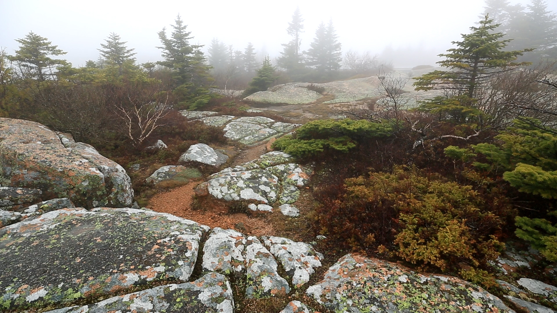 Blue Heron Home Designs Cadillac Mountain