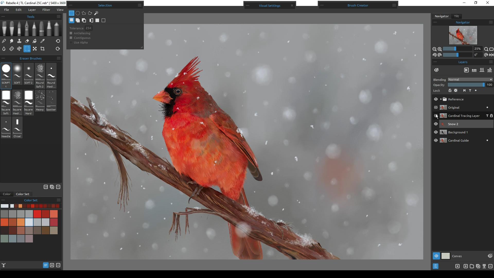 Painting a Cardinal